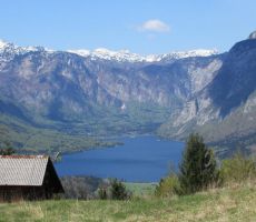 Čudovit pogled na Bohinjsko jezero